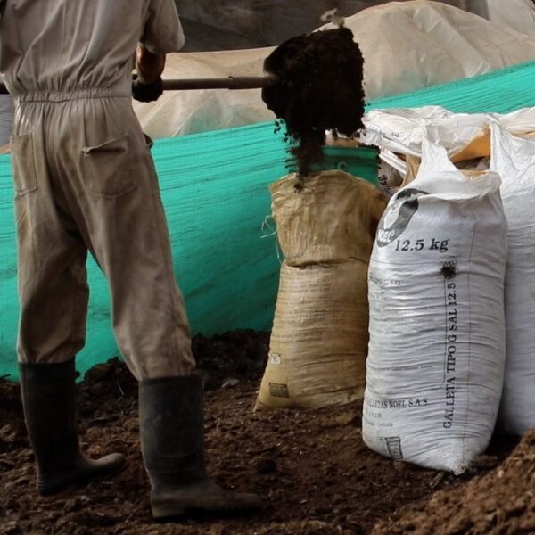 ABONO - 002 FINCA LA AURORA