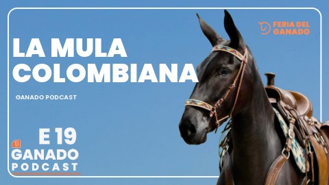 La selección genética en la ganadera 