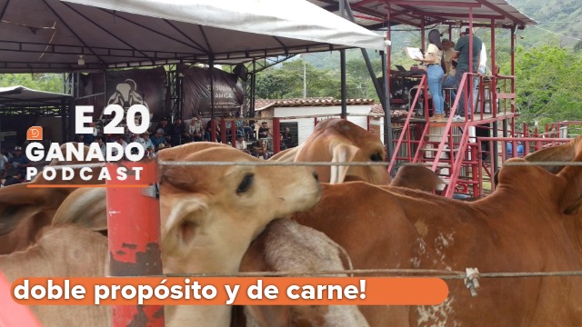 La subasta doble propósito