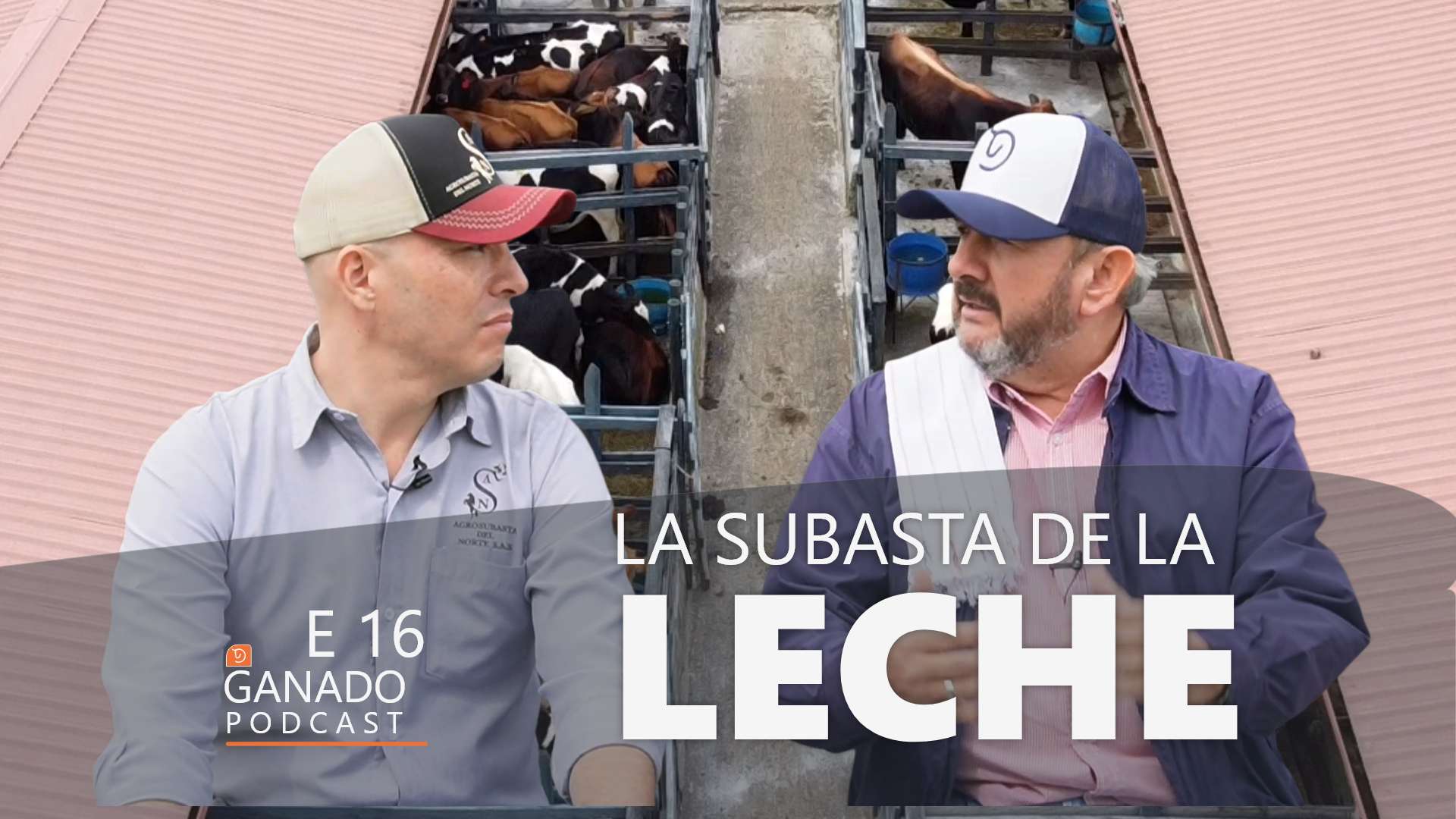 La subasta de la leche