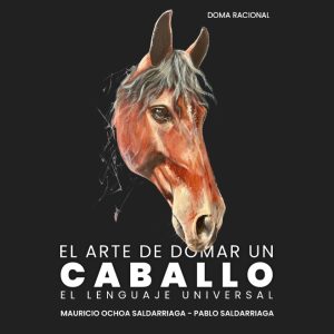 EL ARTE DE DOMAR UN CABALLO - Imagen 1