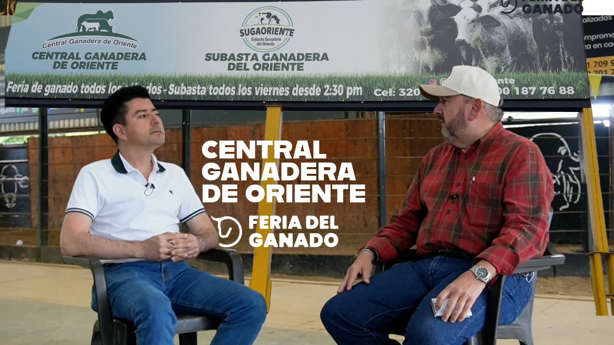 Central ganadera del oriente