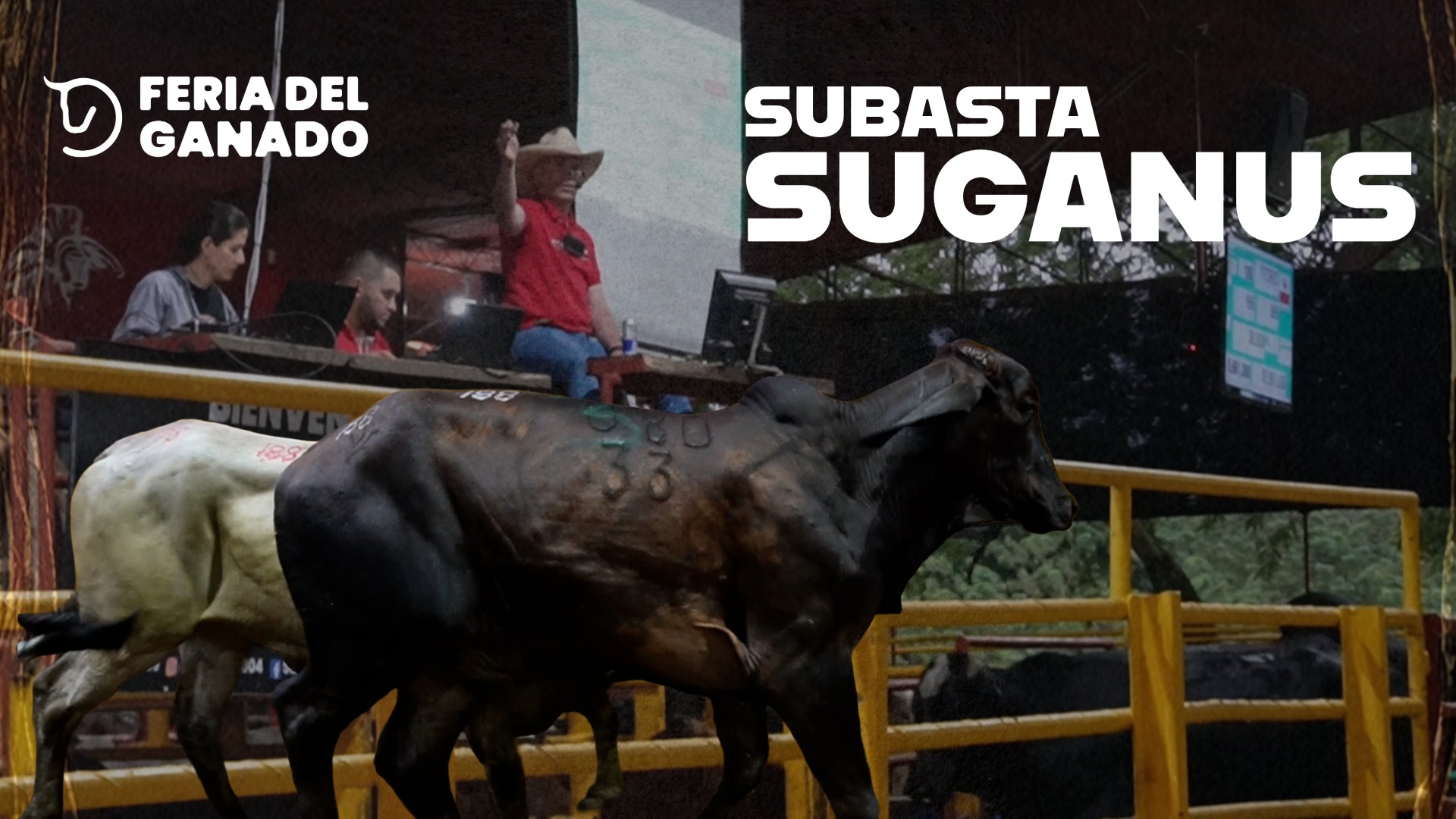 Plantas de beneficio