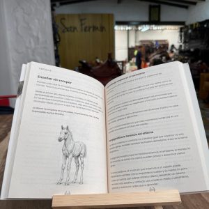 EL ARTE DE DOMAR UN CABALLO - Imagen 3