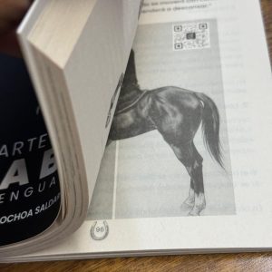 EL ARTE DE DOMAR UN CABALLO - Imagen 6